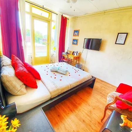 Takoda Tiger Rotterdam Guest house Hoogvliet